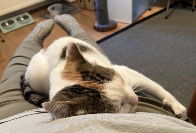 fellengel_isabelle_02