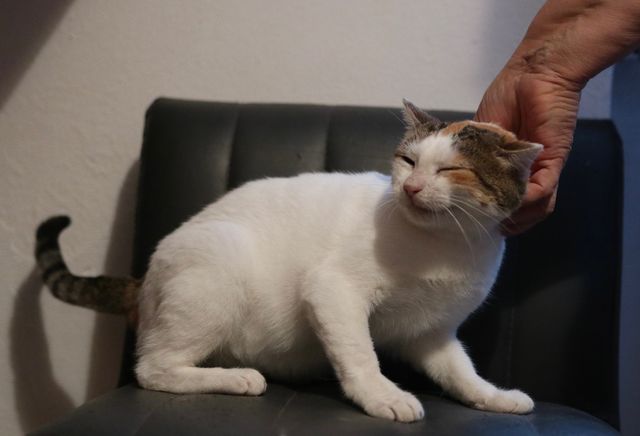 fellengel_isabelle_08