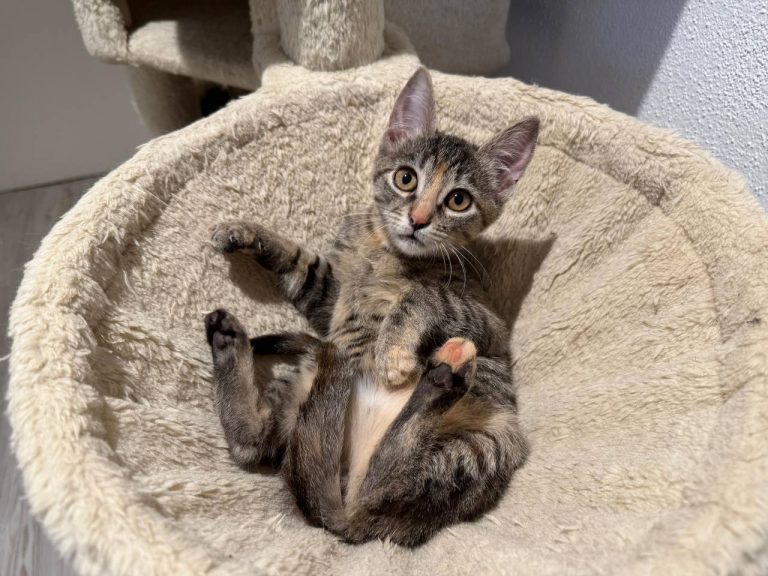 photo_2024-12-28_18-49-18