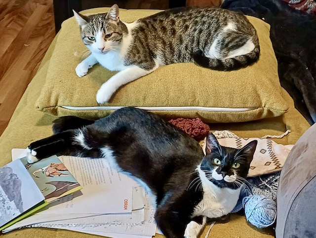 fellengel_kleila_loil_2