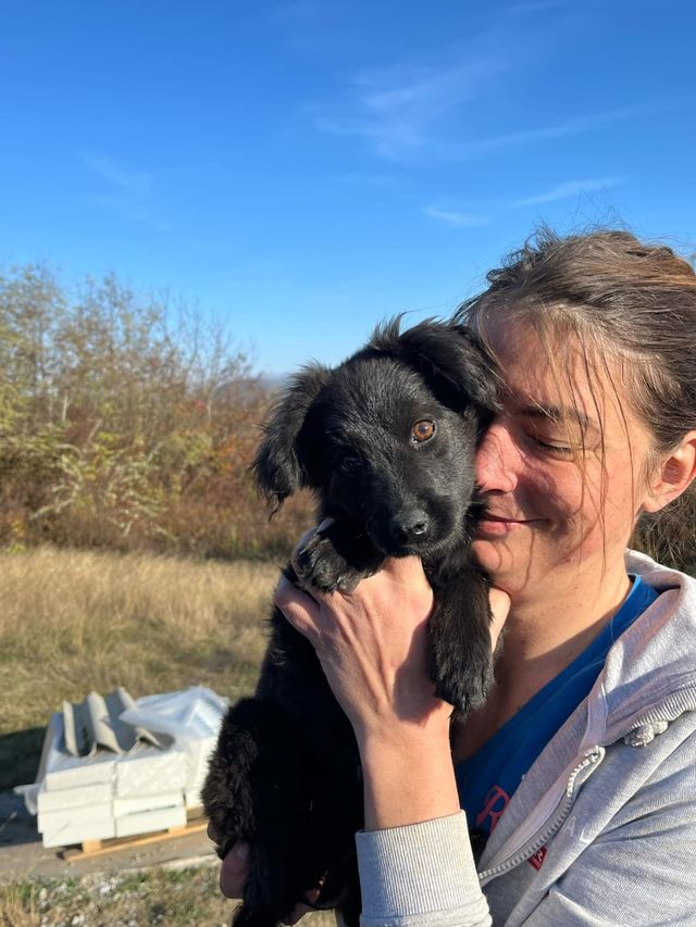 fellengel_napocska_03