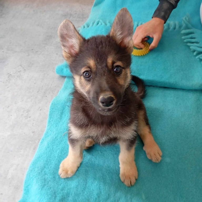 photo_2024-11-25_18-45-41