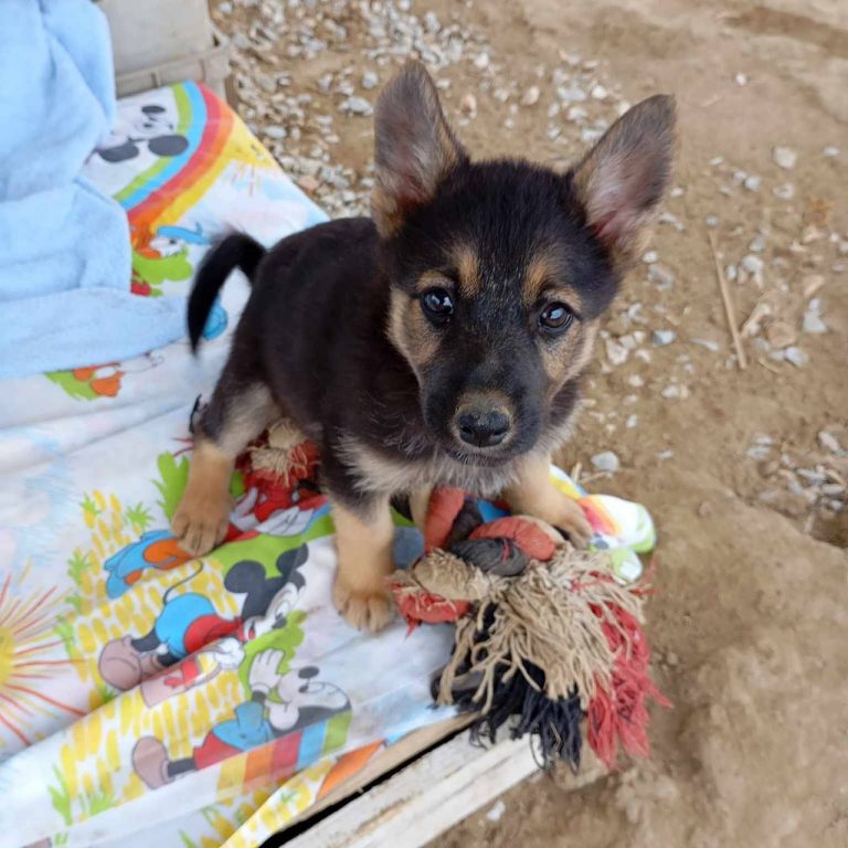 photo_2024-11-25_18-45-43