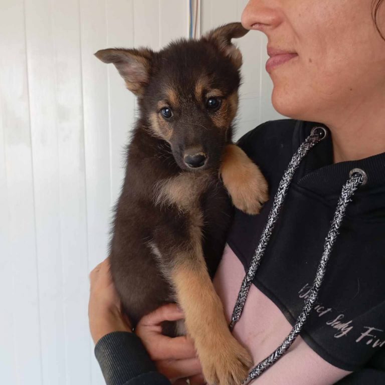 photo_2024-11-25_18-45-45