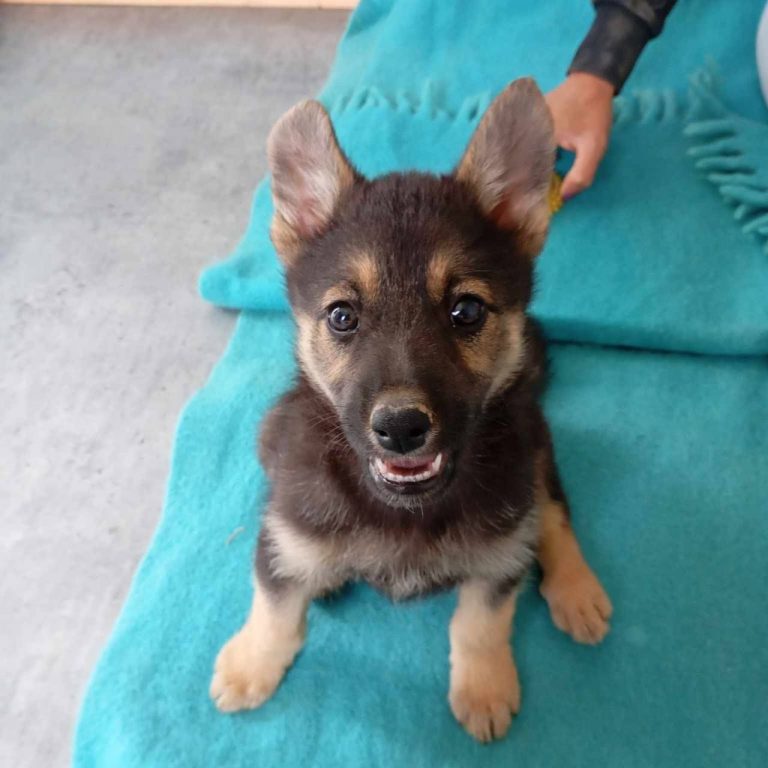 photo_2024-11-25_18-45-50