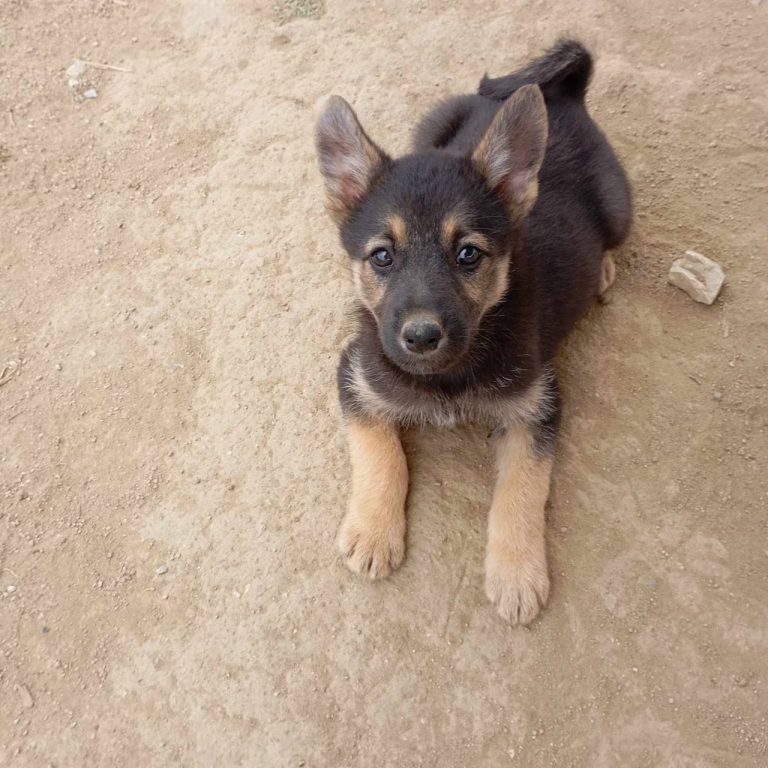 photo_2024-11-25_18-45-52