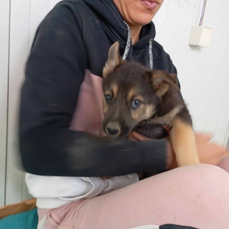 photo_2024-11-25_18-45-55