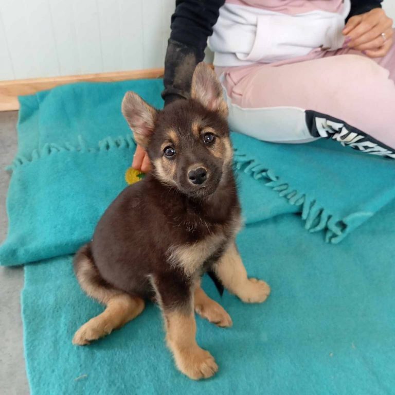 photo_2024-11-25_18-45-58