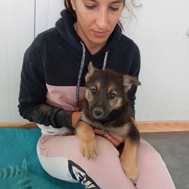 photo_2024-11-25_18-46-02