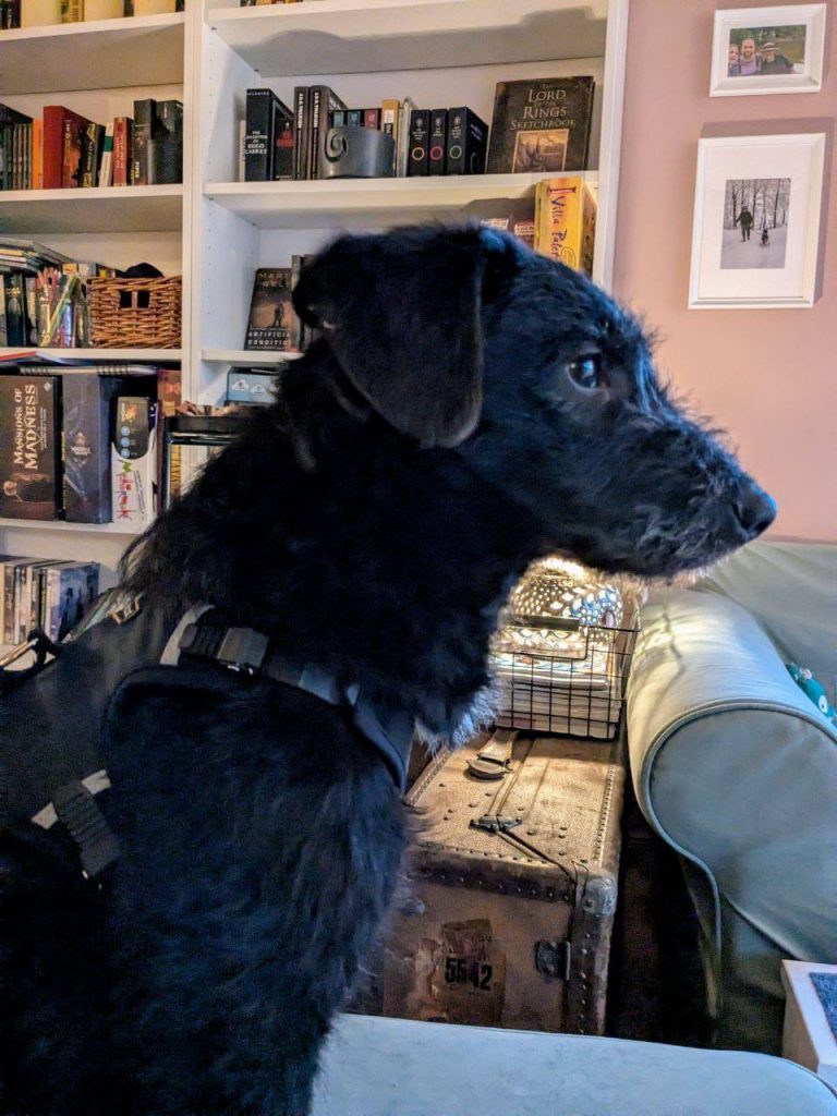 photo_2024-12-19_14-06-36