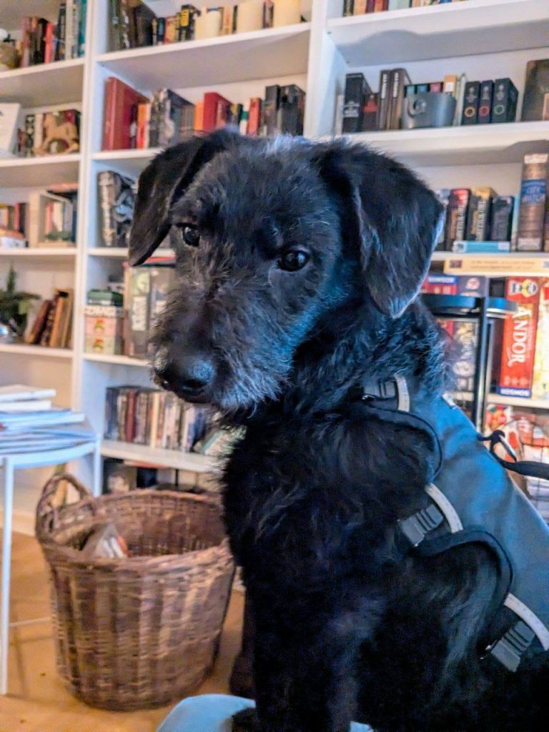 photo_2024-12-19_14-06-39