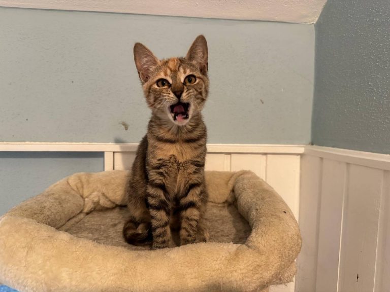 photo_2024-12-28_18-48-12