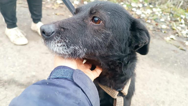 PHOTO-2024-11-27-15-39-45