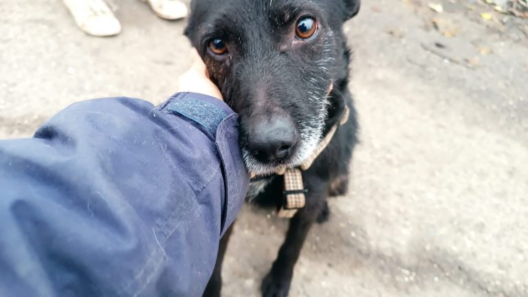 PHOTO-2024-11-27-15-39-46