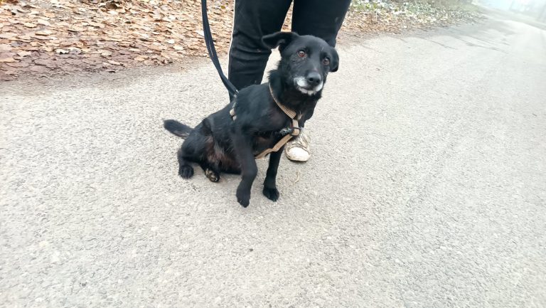 PHOTO-2024-11-27-15-39-47