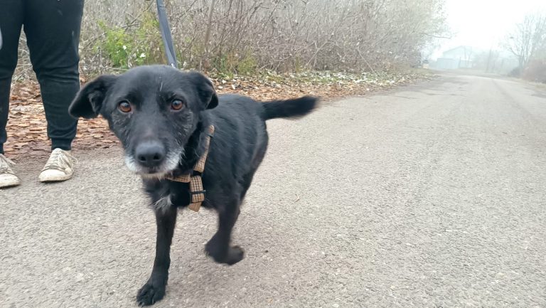 PHOTO-2024-11-27-15-39-48 (2)