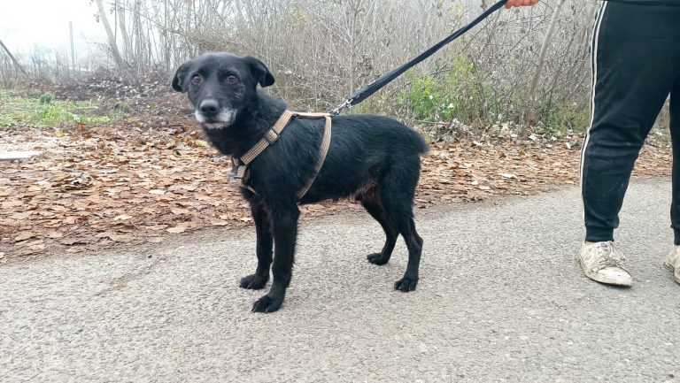 PHOTO-2024-11-27-15-39-48