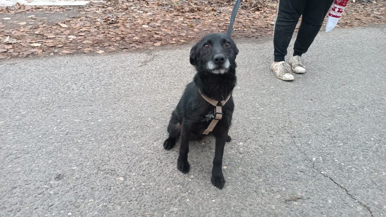 PHOTO-2024-11-27-15-39-49