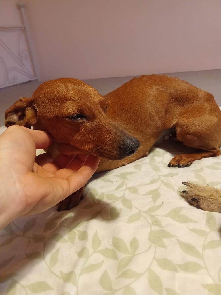 PHOTO-2024-11-28-11-40-28