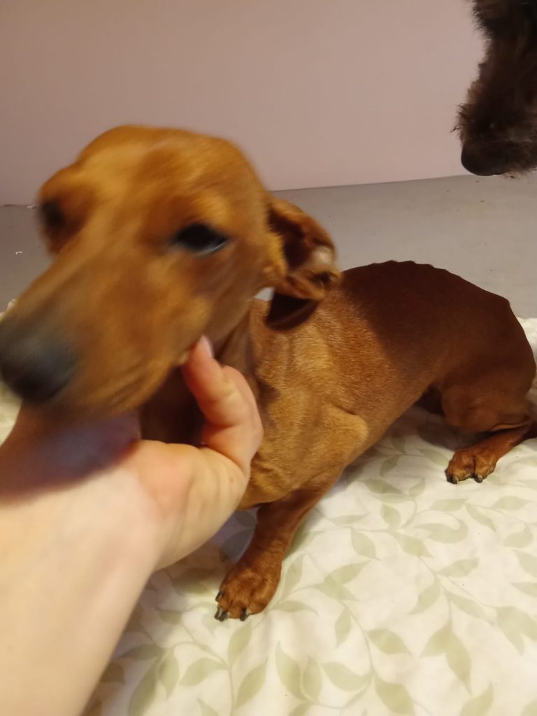 PHOTO-2024-11-28-11-40-29 (2)