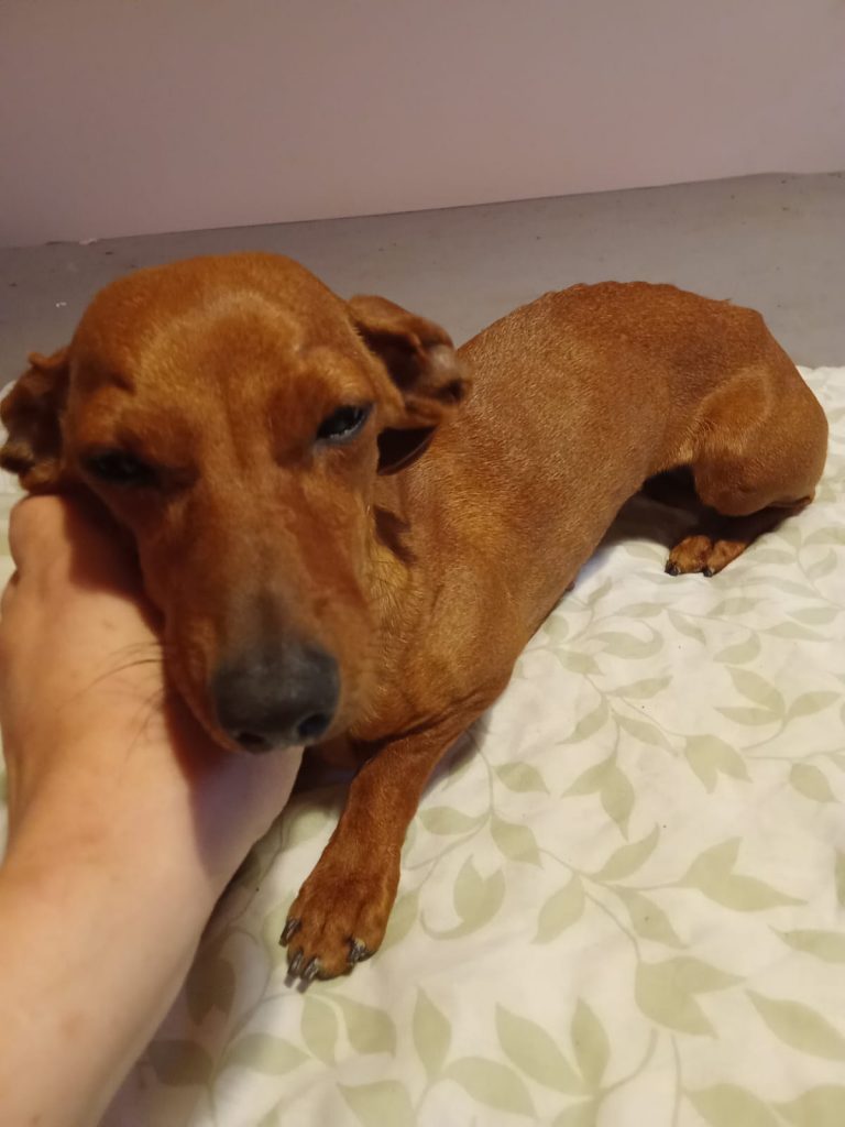 PHOTO-2024-11-28-11-40-29