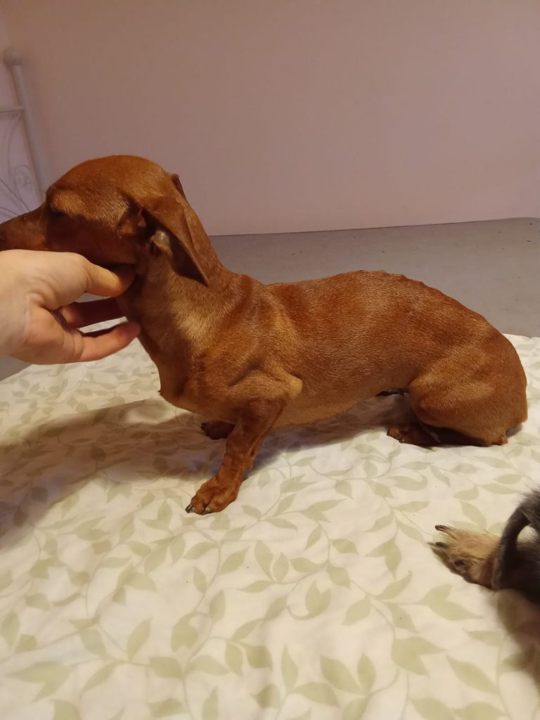 PHOTO-2024-11-28-11-40-30 (2)