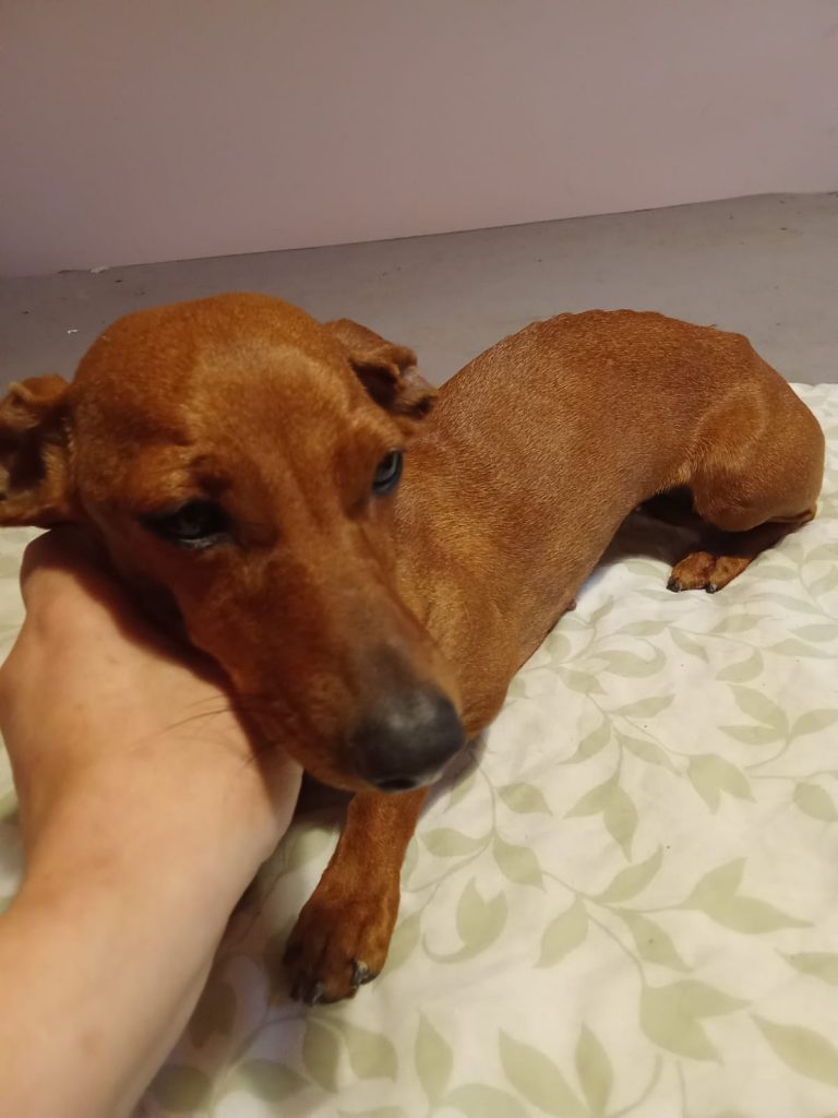 PHOTO-2024-11-28-11-40-30