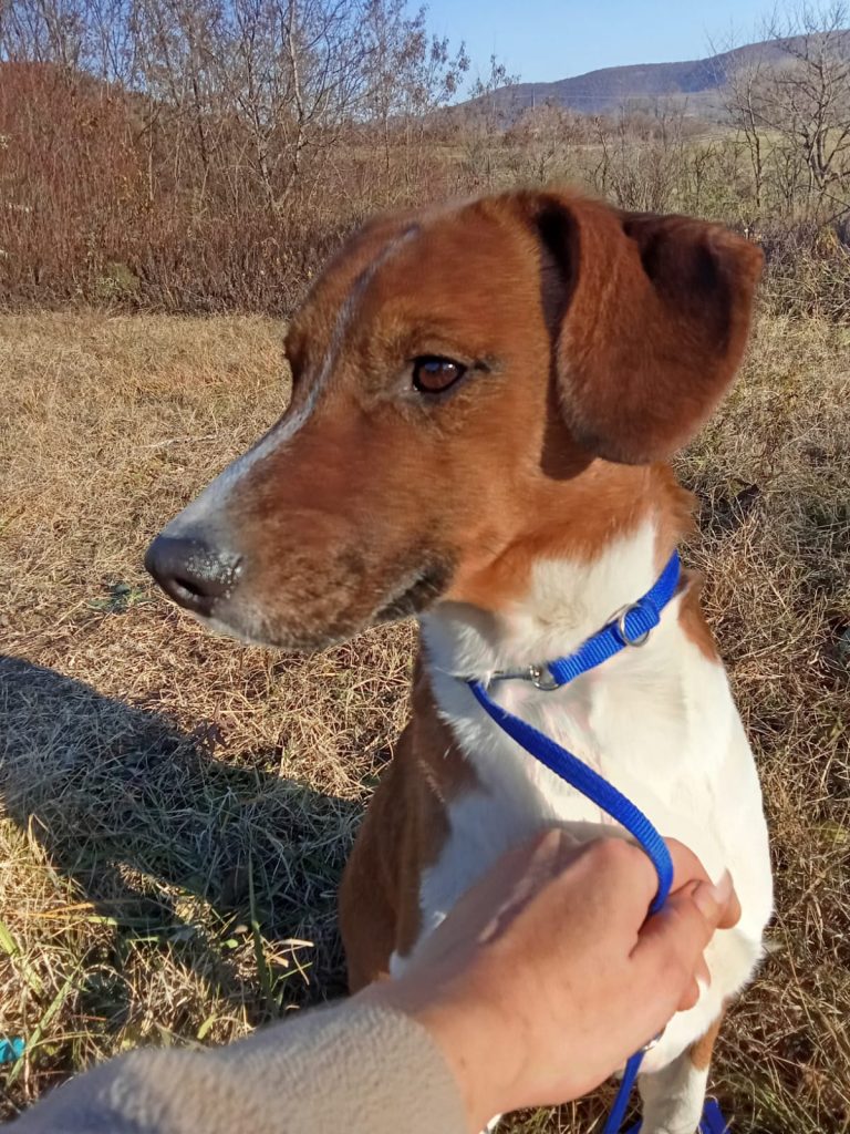 PHOTO-2024-12-01-14-57-06