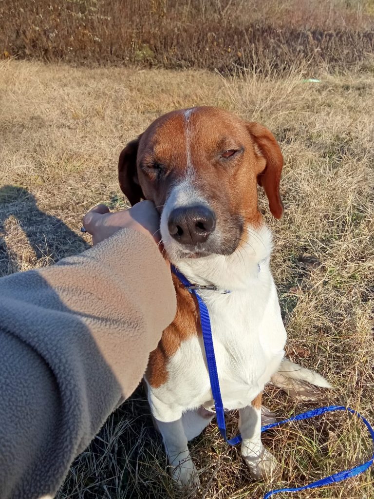 PHOTO-2024-12-01-14-57-10 (2)