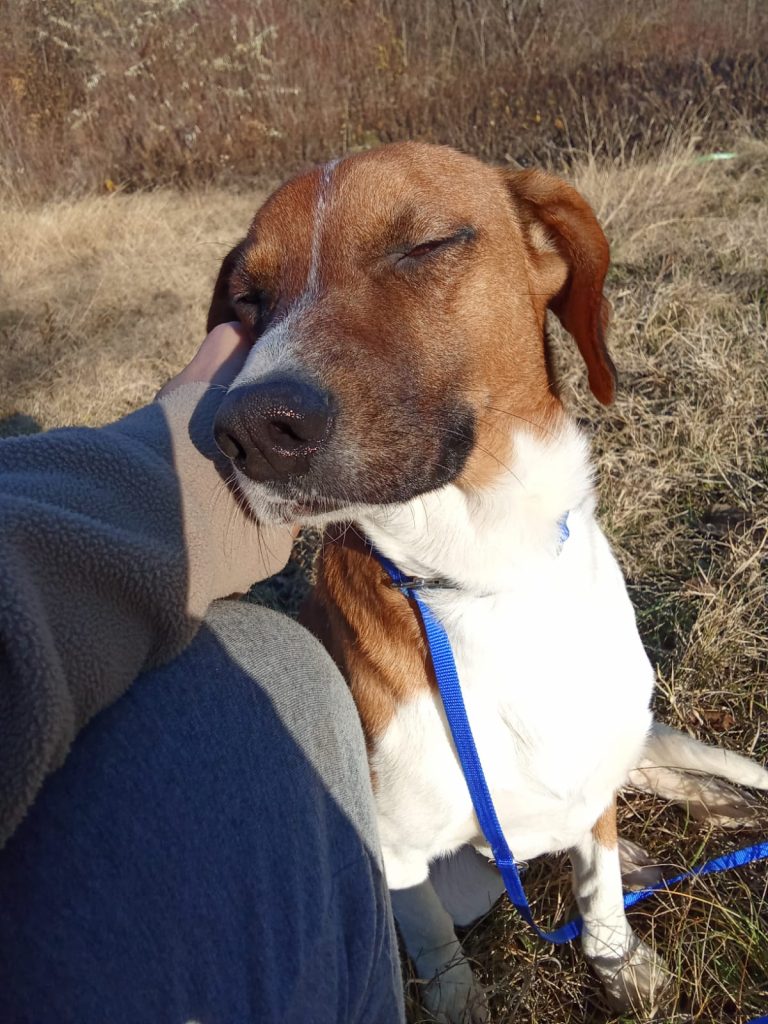 PHOTO-2024-12-01-14-57-10 (3)