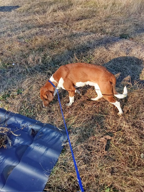 PHOTO-2024-12-01-14-57-10