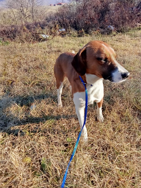 PHOTO-2024-12-01-14-57-11 (2)