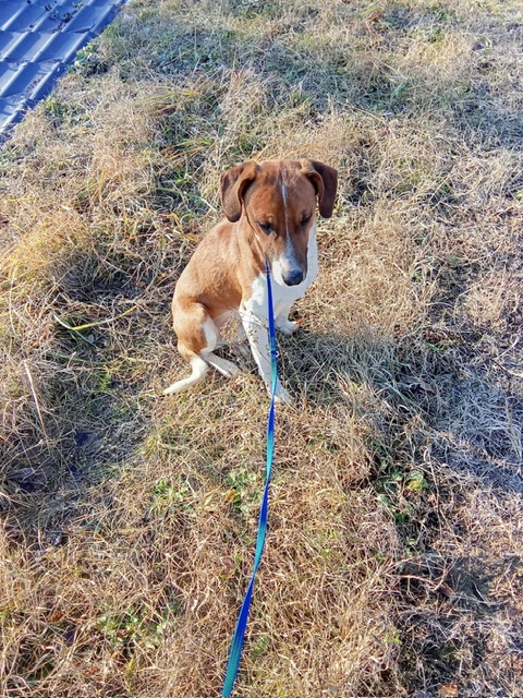 PHOTO-2024-12-01-14-57-11 (3)