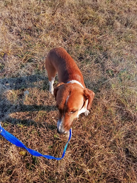 PHOTO-2024-12-01-14-57-11