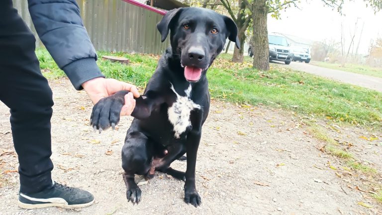 PHOTO-2024-12-03-11-46-21