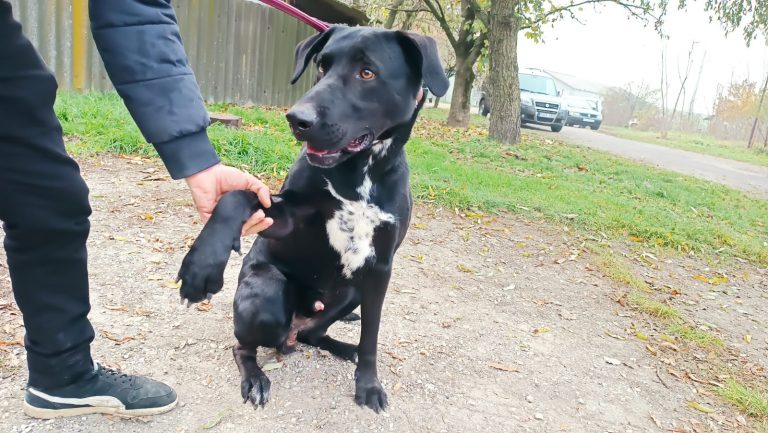 PHOTO-2024-12-03-11-46-26