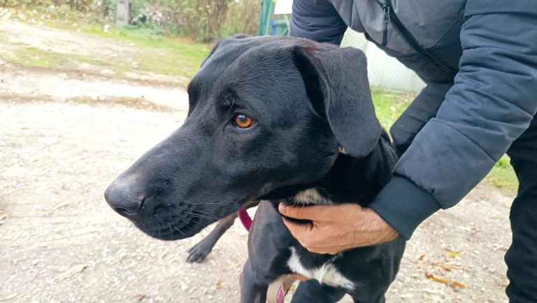 PHOTO-2024-12-03-11-46-54