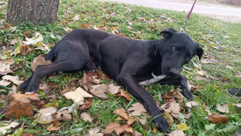 PHOTO-2024-12-03-11-46-59