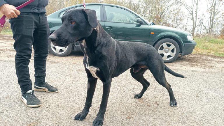 PHOTO-2024-12-03-11-47-04