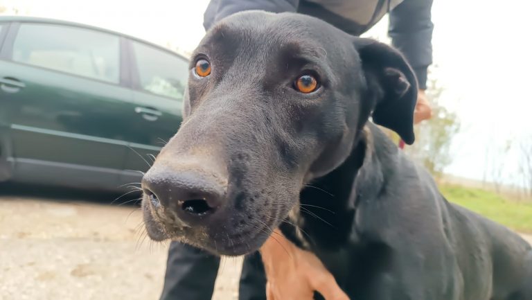 PHOTO-2024-12-03-11-47-06