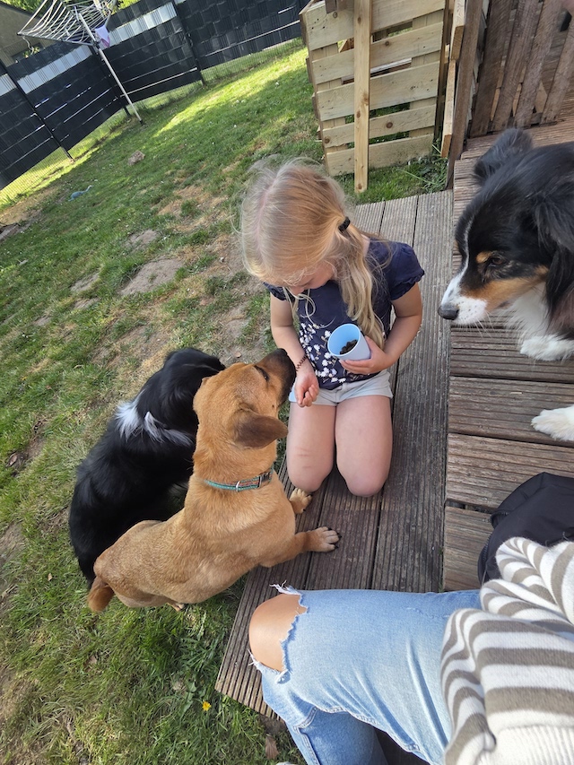 fellengel-mytyür-2