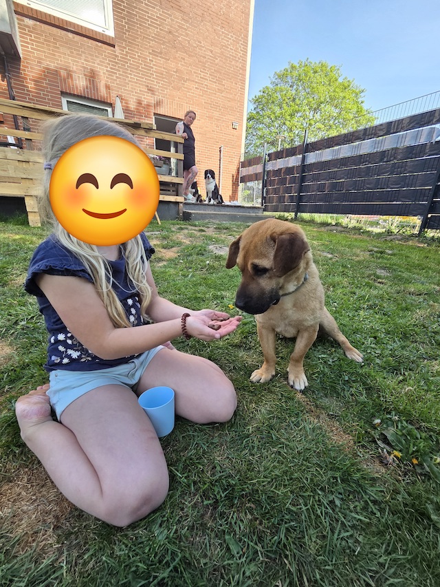 fellengel-mytyür-3