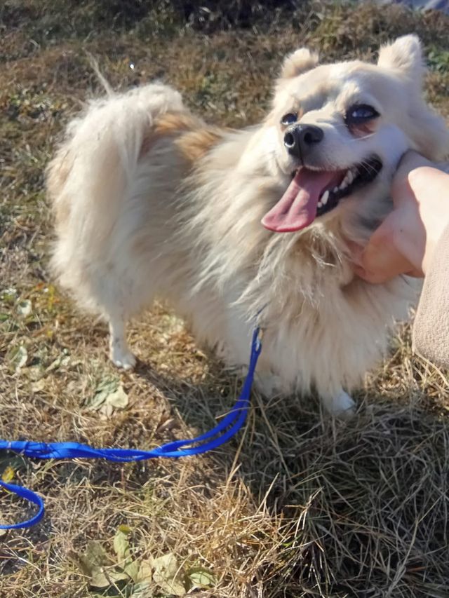 fellengel_littlemaya