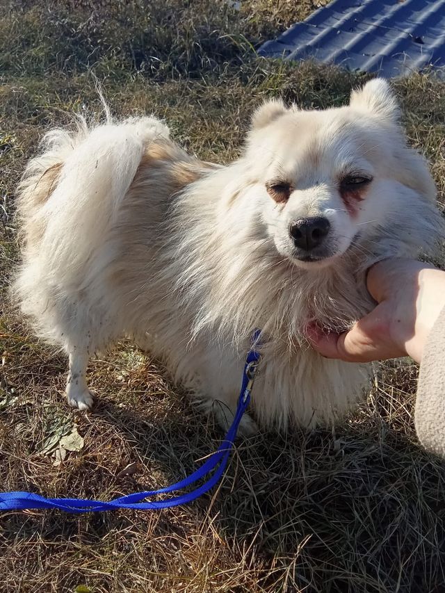 fellengel_littlemaya_02