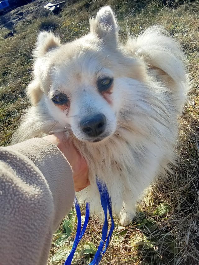 fellengel_littlemaya_03