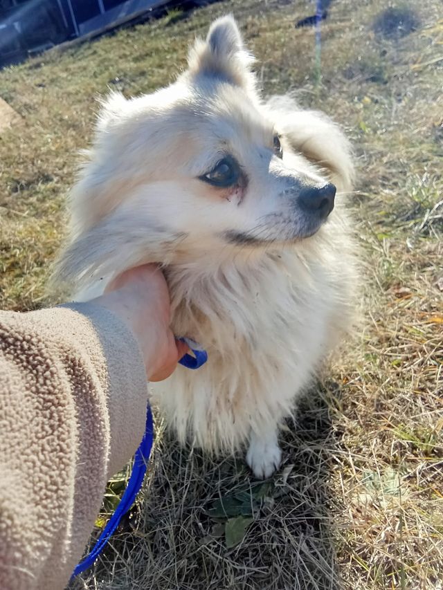 fellengel_littlemaya_04