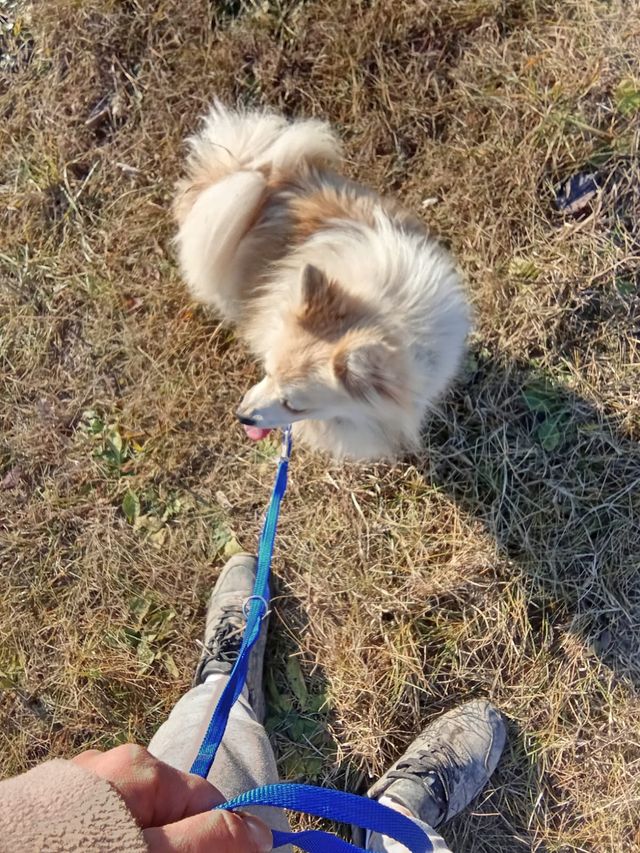 fellengel_littlemaya_05