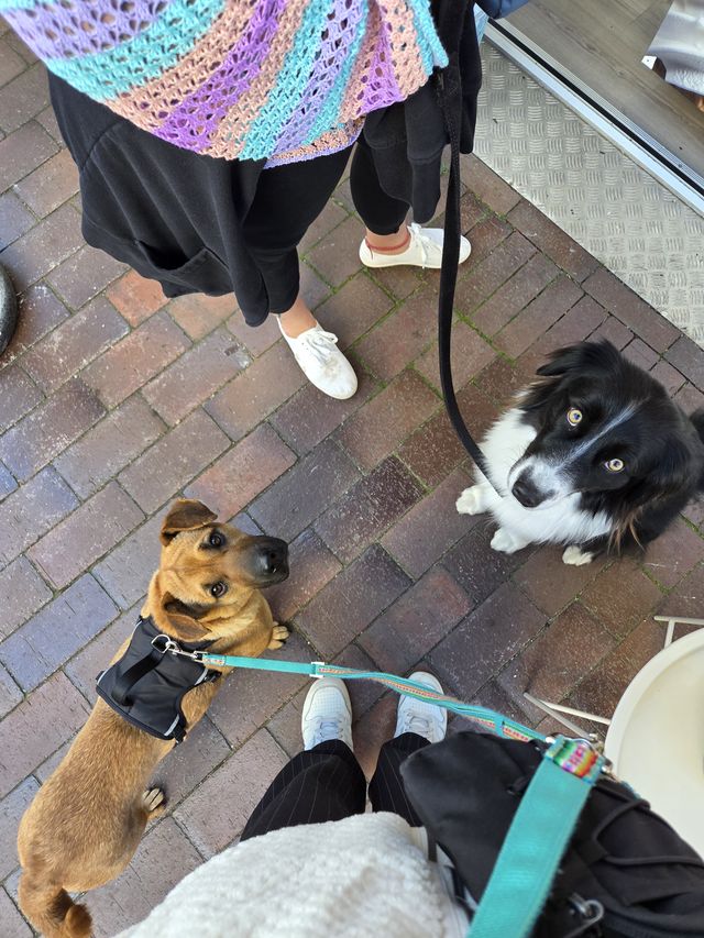 fellengel_mütyür_09