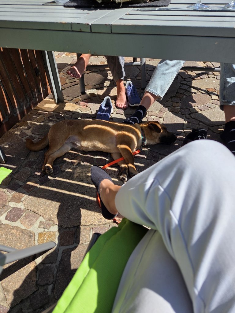 fellengel_mütyür_17