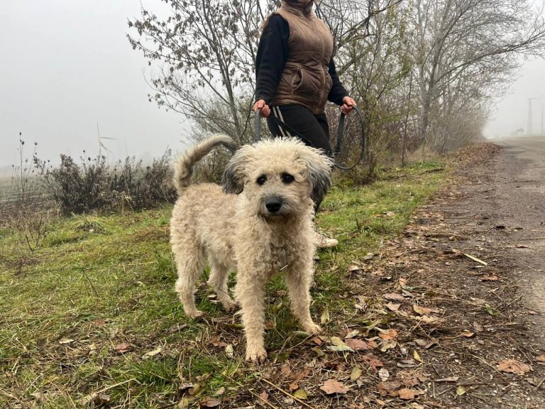 photo_2024-12-12_10-16-37